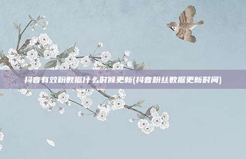 抖音有效粉数据什么时候更新(抖音粉丝数据更新时间)  第1张