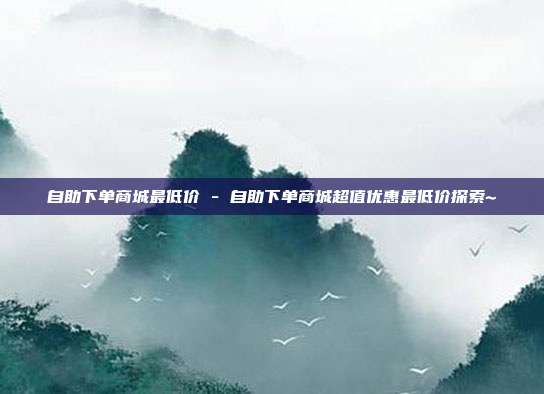 自助下单商城最低价 - 自助下单商城超值优惠最低价探索~  第1张