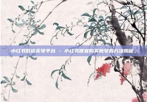 小红书低价买号平台 - 小红书便宜购买账号的方法揭秘。  第1张