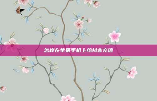 怎样在苹果手机上给抖音充值  第1张