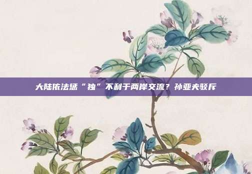 大陆依法惩“独	”不利于两岸交流？孙亚夫驳斥  第1张