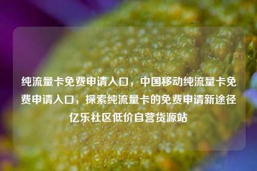 纯流量卡免费申请入口	，中国移动纯流量卡免费申请入口，探索纯流量卡的免费申请新途径亿乐社区低价自营货源站  第1张