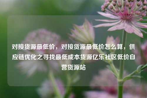 对接货源最低价	，对接货源最低价怎么算，供应链优化之寻找最低成本货源亿乐社区低价自营货源站  第1张