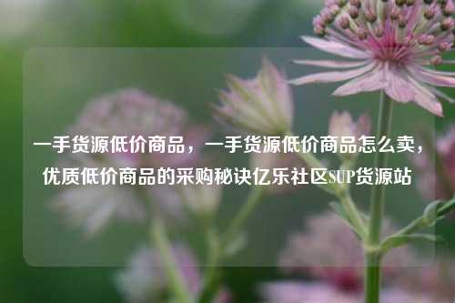 一手货源低价商品	，一手货源低价商品怎么卖，优质低价商品的采购秘诀亿乐社区SUP货源站  第1张