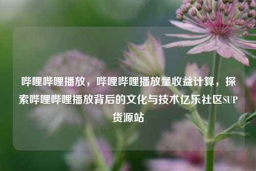 哔哩哔哩播放	，哔哩哔哩播放量收益计算，探索哔哩哔哩播放背后的文化与技术亿乐社区SUP货源站  第1张