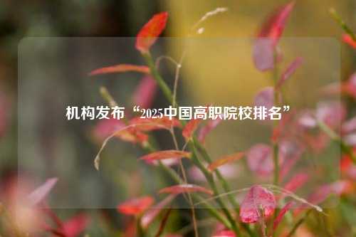 机构发布“2025中国高职院校排名”  第1张