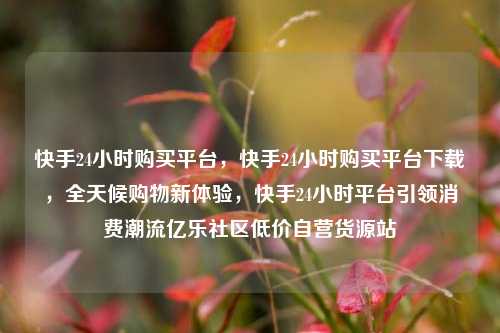 快手24小时购买平台	，快手24小时购买平台下载，全天候购物新体验，快手24小时平台引领消费潮流亿乐社区低价自营货源站  第1张