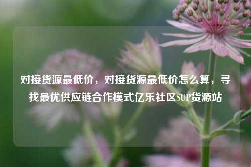 对接货源最低价，对接货源最低价怎么算，寻找最优供应链合作模式亿乐社区SUP货源站  第1张