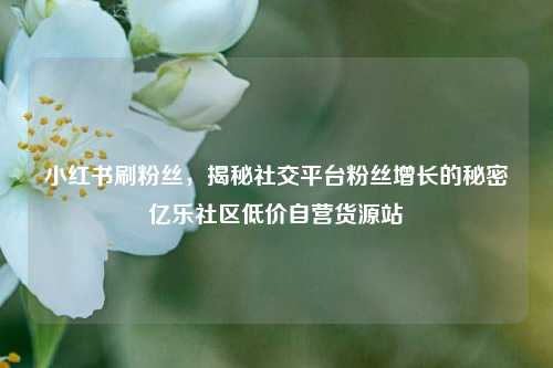 小红书刷粉丝，揭秘社交平台粉丝增长的秘密亿乐社区低价自营货源站  第1张