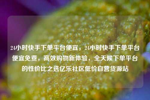 24小时快手下单平台便宜，24小时快手下单平台便宜免费	，高效购物新体验，全天候下单平台的性价比之选亿乐社区低价自营货源站  第1张