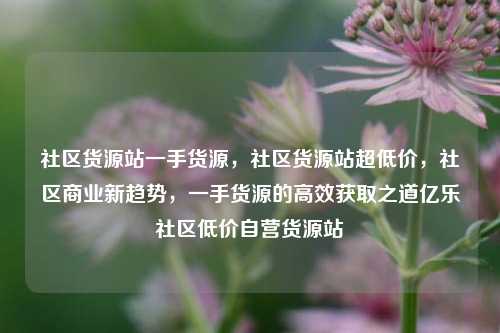 社区货源站一手货源，社区货源站超低价，社区商业新趋势，一手货源的高效获取之道亿乐社区低价自营货源站  第1张