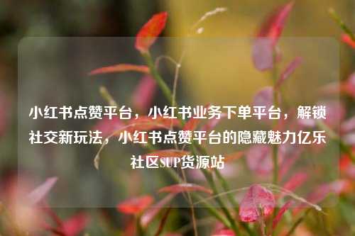 小红书点赞平台，小红书业务下单平台	，解锁社交新玩法，小红书点赞平台的隐藏魅力亿乐社区SUP货源站  第1张