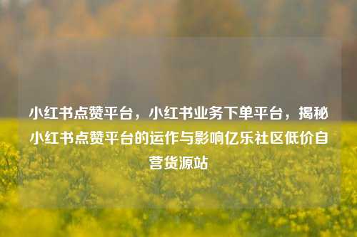 小红书点赞平台，小红书业务下单平台，揭秘小红书点赞平台的运作与影响亿乐社区低价自营货源站  第1张
