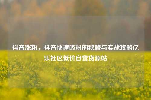 抖音涨粉，抖音快速吸粉的秘籍与实战攻略亿乐社区低价自营货源站  第1张
