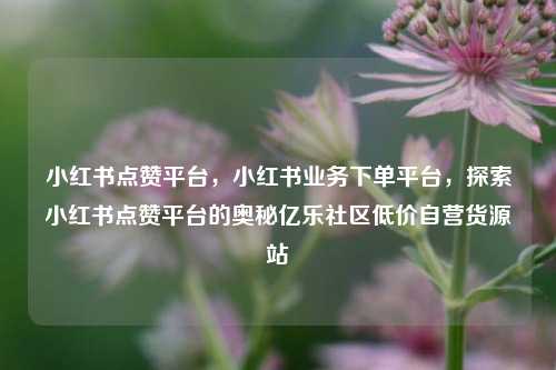 小红书点赞平台，小红书业务下单平台	，探索小红书点赞平台的奥秘亿乐社区低价自营货源站  第1张