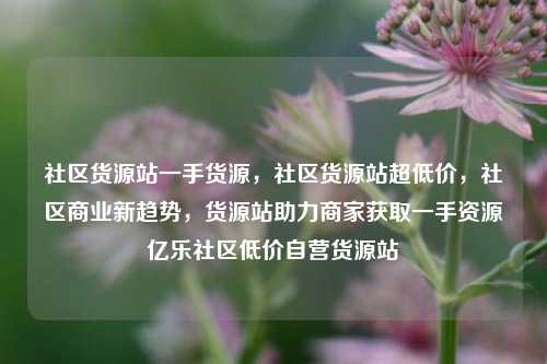 社区货源站一手货源，社区货源站超低价	，社区商业新趋势，货源站助力商家获取一手资源亿乐社区低价自营货源站  第1张