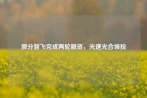 微分智飞完成两轮融资，光速光合领投  第1张