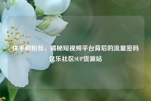 快手刷粉丝，揭秘短视频平台背后的流量密码亿乐社区SUP货源站  第1张