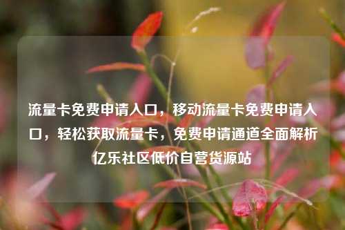 流量卡免费申请入口	，移动流量卡免费申请入口，轻松获取流量卡，免费申请通道全面解析亿乐社区低价自营货源站  第1张