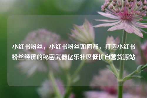 小红书粉丝，小红书粉丝如何涨，打造小红书粉丝经济的秘密武器亿乐社区低价自营货源站  第1张
