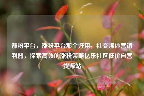 涨粉平台，涨粉平台那个好用，社交媒体营销利器	，探索高效的涨粉策略亿乐社区低价自营货源站  第1张