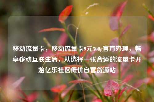 移动流量卡，移动流量卡9元300g官方办理，畅享移动互联生活，从选择一张合适的流量卡开始亿乐社区低价自营货源站  第1张