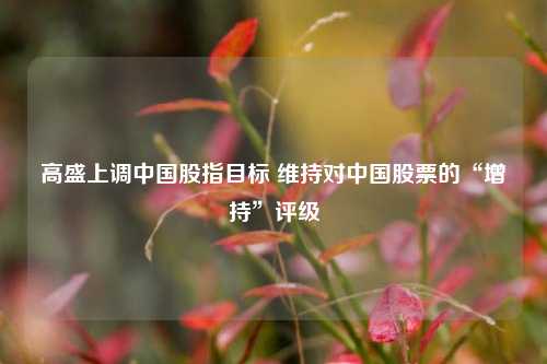 高盛上调中国股指目标 维持对中国股票的“增持”评级  第1张