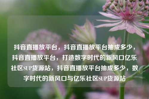 抖音直播放平台，抖音直播放平台抽成多少，抖音直播放平台，打造数字时代的新风口亿乐社区SUP货源站，抖音直播放平台抽成多少，数字时代的新风口与亿乐社区SUP货源站  第1张