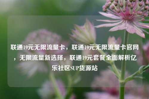 联通19元无限流量卡，联通19元无限流量卡官网	，无限流量新选择，联通19元套餐全面解析亿乐社区SUP货源站  第1张