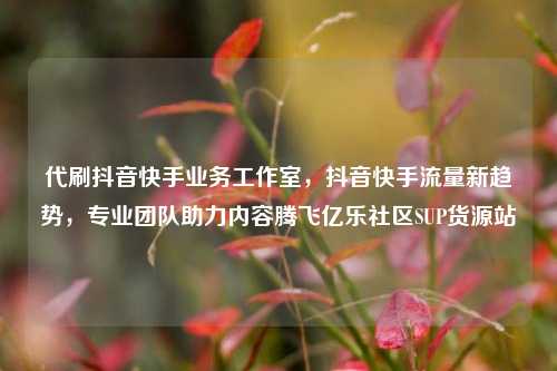代刷抖音快手业务工作室	，抖音快手流量新趋势，专业团队助力内容腾飞亿乐社区SUP货源站  第1张
