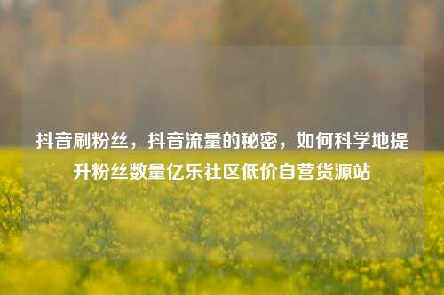 抖音刷粉丝，抖音流量的秘密，如何科学地提升粉丝数量亿乐社区低价自营货源站  第1张
