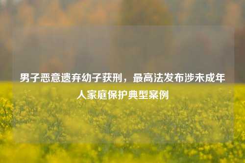 男子恶意遗弃幼子获刑，最高法发布涉未成年人家庭保护典型案例  第1张