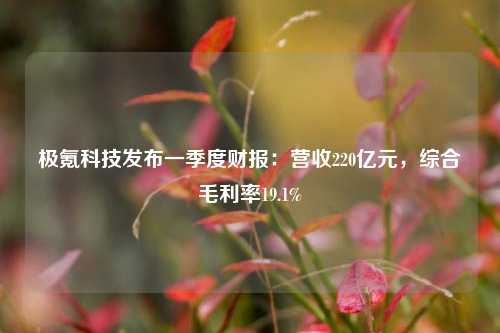 极氪科技发布一季度财报：营收220亿元，综合毛利率19.1%  第1张