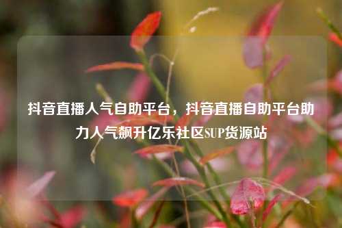 抖音直播人气自助平台，抖音直播自助平台助力人气飙升亿乐社区SUP货源站  第1张