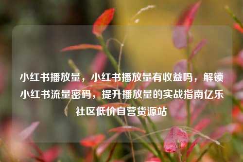 小红书播放量	，小红书播放量有收益吗，解锁小红书流量密码，提升播放量的实战指南亿乐社区低价自营货源站  第1张