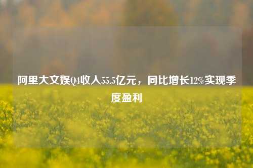 阿里大文娱Q4收入55.5亿元	，同比增长12%实现季度盈利  第1张