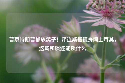 普京特朗普都放鸽子！泽连斯基孤身闯土耳其	，这场和谈还能谈什么  第1张