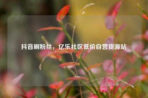 抖音刷粉丝，亿乐社区低价自营货源站  第1张