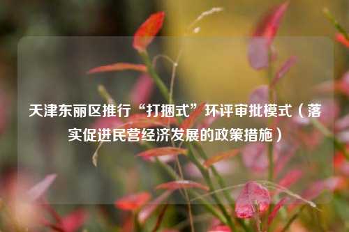天津东丽区推行“打捆式”环评审批模式（落实促进民营经济发展的政策措施）  第1张