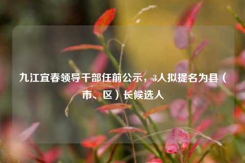 九江宜春领导干部任前公示，3人拟提名为县（市、区）长候选人  第1张