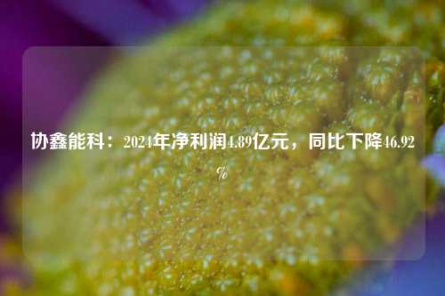 协鑫能科：2024年净利润4.89亿元	，同比下降46.92%  第1张