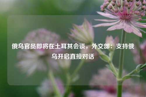 俄乌官员即将在土耳其会谈，外交部：支持俄乌开启直接对话  第1张