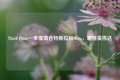 Third Point一季度清仓特斯拉和Meta，增持英伟达  第1张