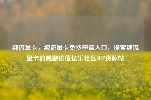 纯流量卡，纯流量卡免费申请入口，探索纯流量卡的隐藏价值亿乐社区SUP货源站  第1张