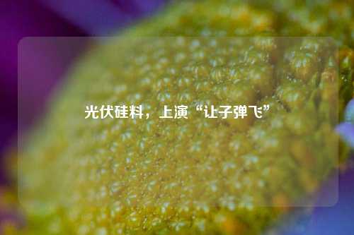 光伏硅料	，上演“让子弹飞”  第1张