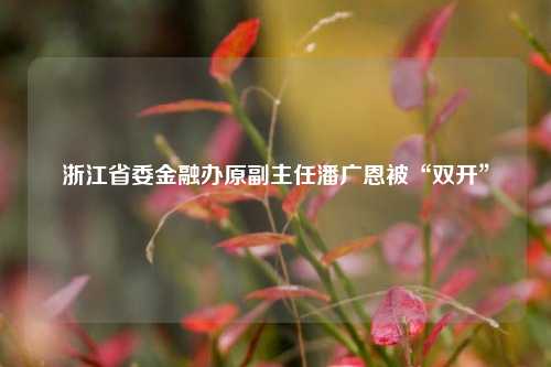 浙江省委金融办原副主任潘广恩被“双开”  第1张