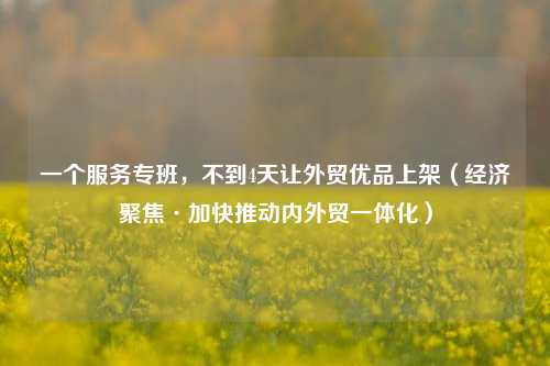 一个服务专班	，不到4天让外贸优品上架（经济聚焦·加快推动内外贸一体化）  第1张