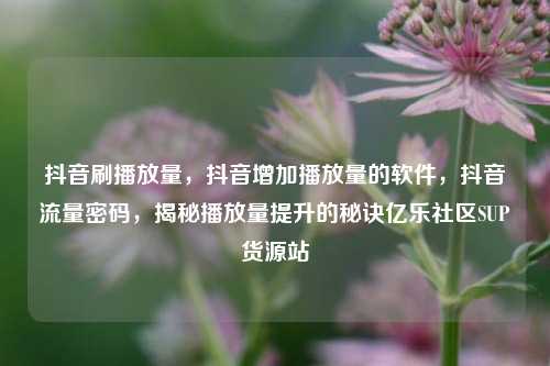 抖音刷播放量，抖音增加播放量的软件，抖音流量密码，揭秘播放量提升的秘诀亿乐社区SUP货源站  第1张