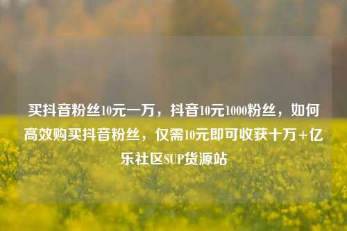 买抖音粉丝10元一万，抖音10元1000粉丝，如何高效购买抖音粉丝	，仅需10元即可收获十万+亿乐社区SUP货源站  第1张