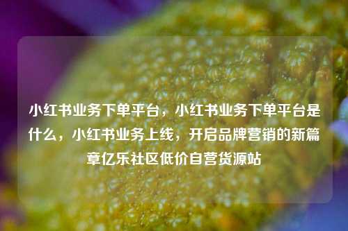 小红书业务下单平台，小红书业务下单平台是什么，小红书业务上线	，开启品牌营销的新篇章亿乐社区低价自营货源站  第1张